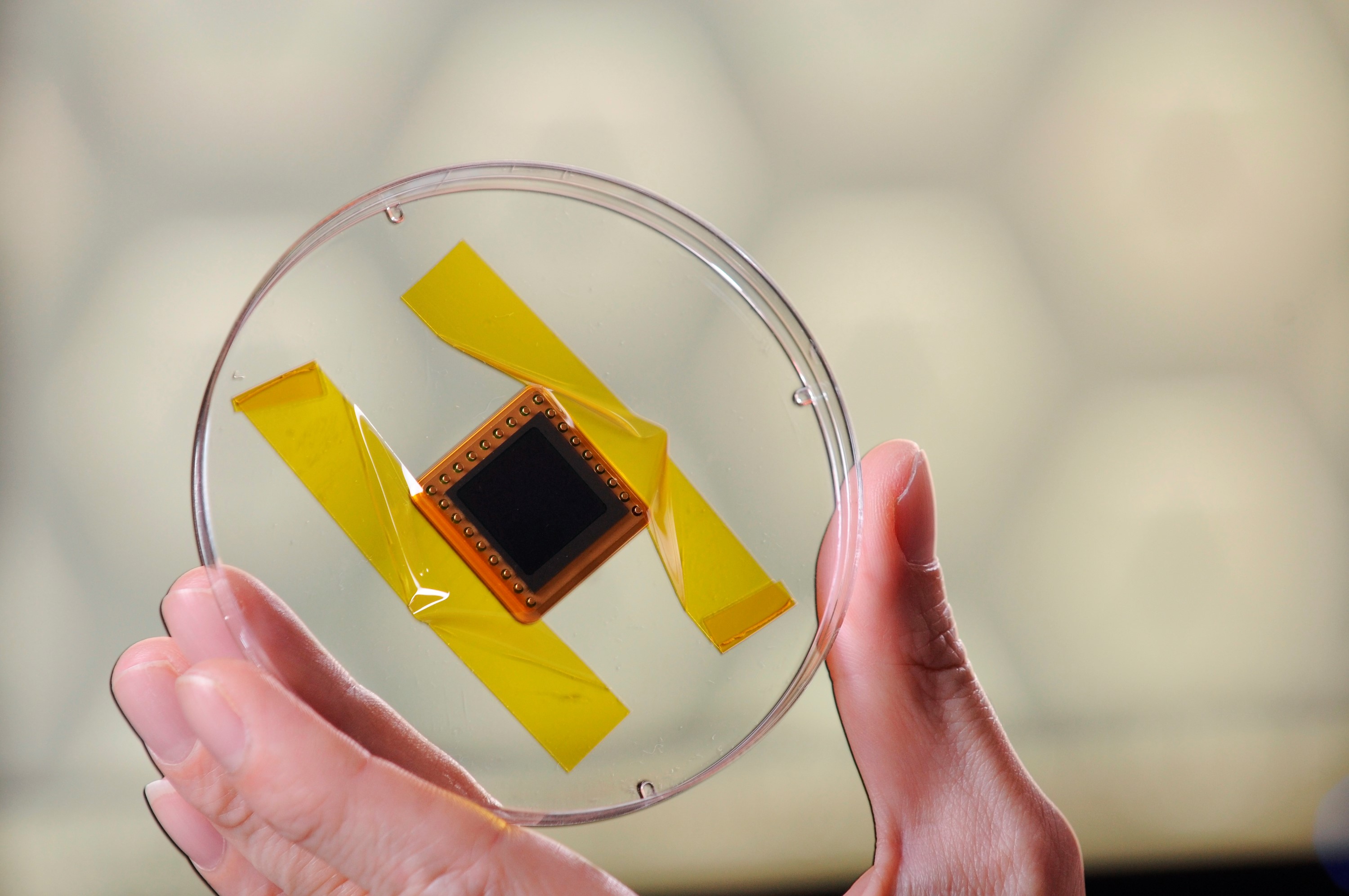 GTRI produced a solar cell for space testing (Credit: Gary Meek, Georgia Tech)