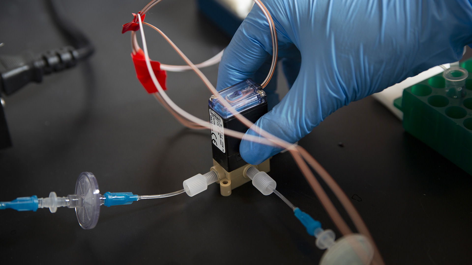 Hand of researcher in blue glove holds the microfluidic system concentrator. 