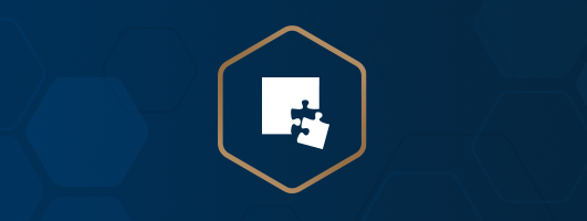 icon of a puzzle piece