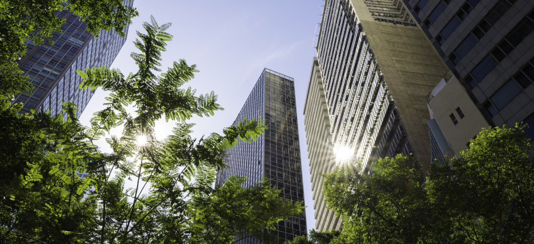 An image of buildings glistening through trees. 